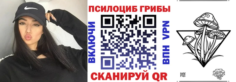 где можно купить наркотик  Чулым  Галлюциногенные грибы MAGIC MUSHROOMS 